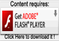 Adobe Flash Player link